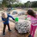 Exploring Nature-Based Preschool Programs in Austin, Arkansas